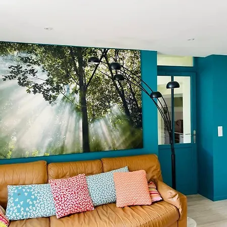 Face Le Petit Breton * פורנישי